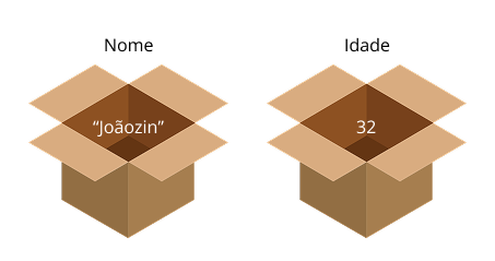 Imagem de duas caixas com um texto(joãozin) para o nome e a outra com um numero(32) para a idade
